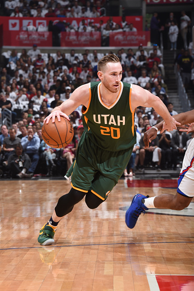 种没有太多 种没有太多